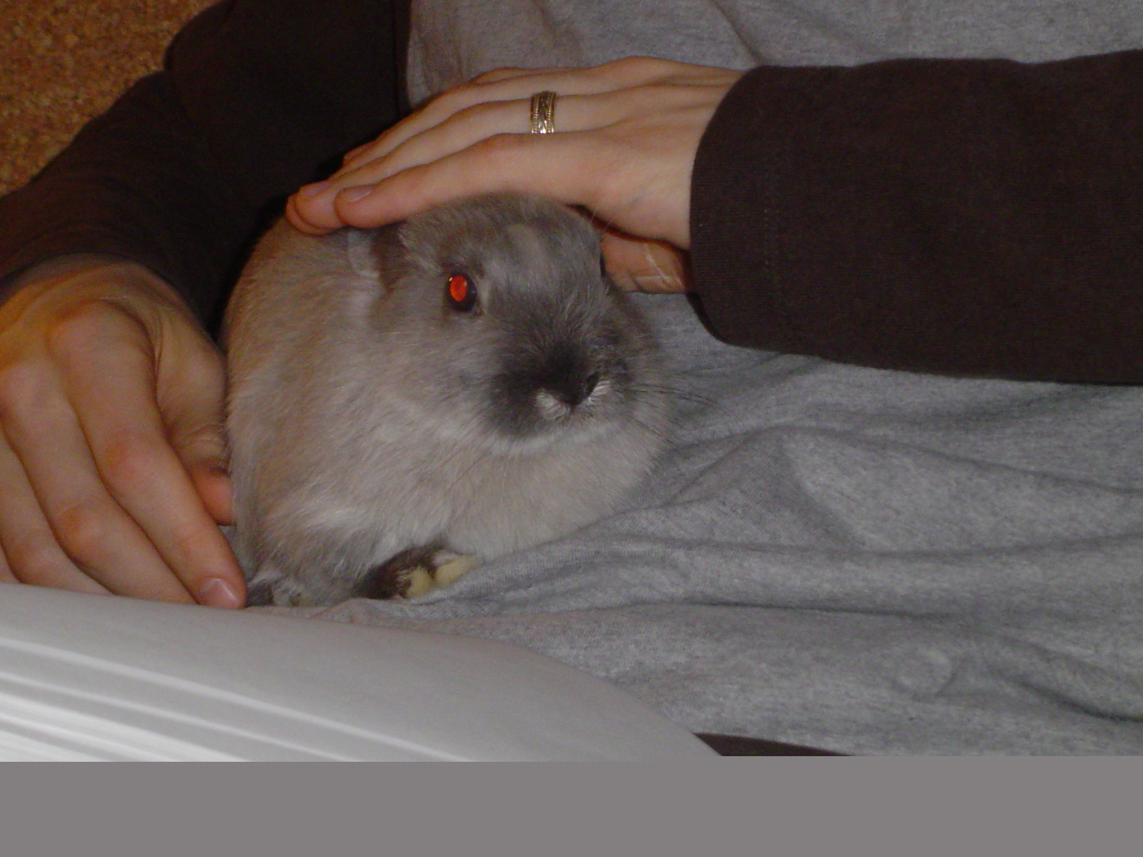 dsc04303.jpg