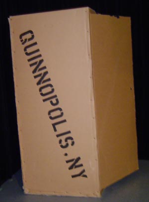 quinnopolisnybox.jpg